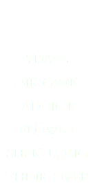 &nbsp;7DAYS INK QEEN ADDICT FLOWER SHEN-LONG THINK OVER